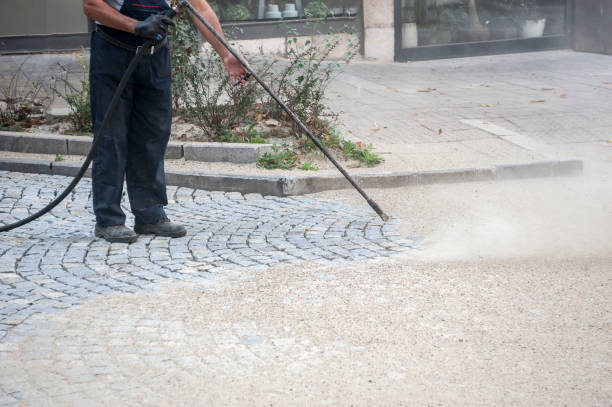 Best Pre-Holiday Cleaning  in Franklinville, NJ
